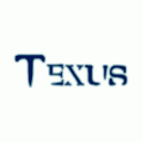 TEXUS 2021 Online Technical Syposium Poster